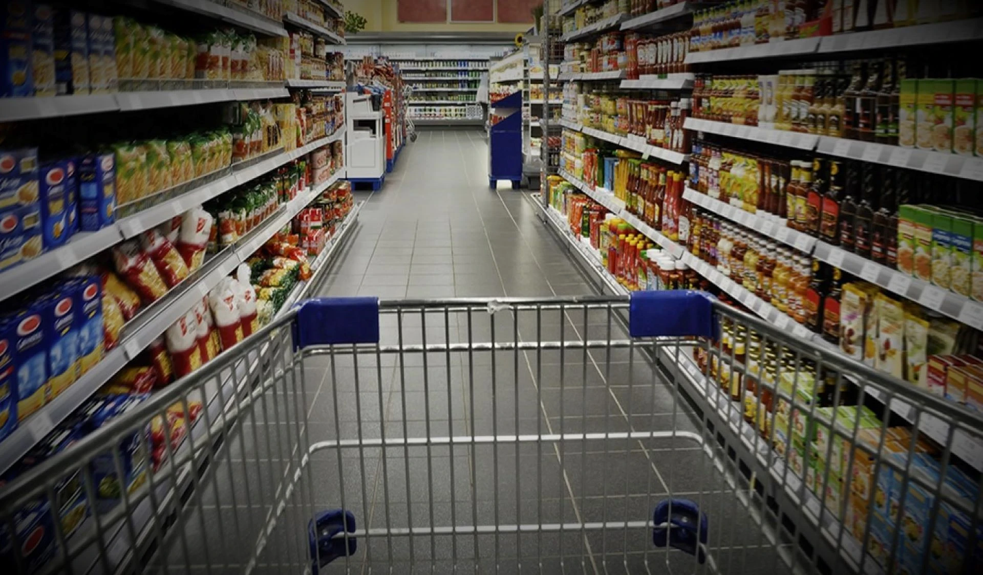 online grocery delivery app model1