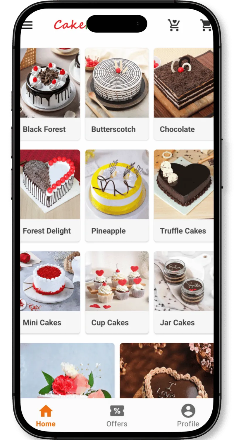 cakefizz-case-study-incroyable